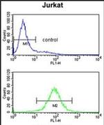 PCCB Antibody in Flow Cytometry (Flow)