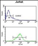 CASD1 Antibody in Flow Cytometry (Flow)