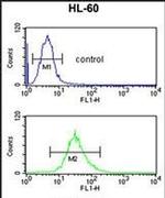 SELENBP1 Antibody in Flow Cytometry (Flow)