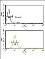 CYP51A1 Antibody in Flow Cytometry (Flow)