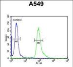 ABHD12 Antibody in Flow Cytometry (Flow)