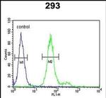 ADAMTS18 Antibody in Flow Cytometry (Flow)