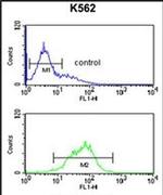 KIR2DL5B Antibody in Flow Cytometry (Flow)