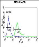DGCR8 Antibody in Flow Cytometry (Flow)