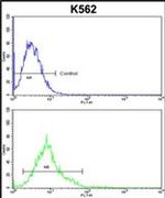 ALDH18A1 Antibody in Flow Cytometry (Flow)