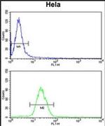 INSIG1 Antibody in Flow Cytometry (Flow)
