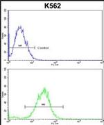 Cdc5L Antibody in Flow Cytometry (Flow)