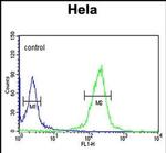 CLIP1 Antibody in Flow Cytometry (Flow)