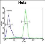 SKA3 Antibody in Flow Cytometry (Flow)