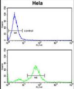 DAB2 Antibody in Flow Cytometry (Flow)