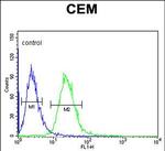 EDIL3 Antibody in Flow Cytometry (Flow)