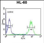 DLK2 Antibody in Flow Cytometry (Flow)
