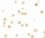 GBP6 Polyclonal Antibody