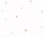 B9D1 Polyclonal Antibody