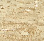 MYH8 Polyclonal Antibody