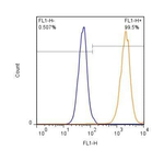 GLAST Antibody in Flow Cytometry (Flow)