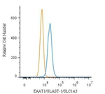 GLAST Antibody in Flow Cytometry (Flow)