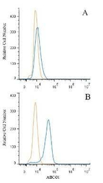 ABCG1 Antibody in Flow Cytometry (Flow)