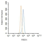 PIEZO1 Antibody in Flow Cytometry (Flow)