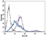 AGTR1 (extracellular) Antibody in Flow Cytometry (Flow)