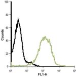 Bestrophin 1 (extracellular) Antibody in Flow Cytometry (Flow)