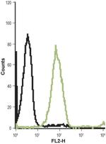 CCKBR (extracellular) Antibody in Flow Cytometry (Flow)