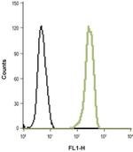 HVCN1 Antibody in Flow Cytometry (Flow)