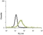 MC3R (extracellular) Antibody in Flow Cytometry (Flow)