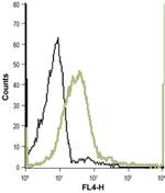 CHRNA4 (extracellular) Antibody in Flow Cytometry (Flow)