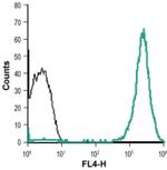 Neuropilin 2 (extracellular) Antibody in Flow Cytometry (Flow)