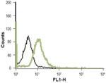 NTSR1 (extracellular) Antibody in Flow Cytometry (Flow)