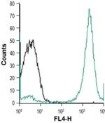 NIPA4 (extracellular) Antibody in Flow Cytometry (Flow)