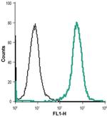 Nhe-1 (extracellular) Antibody in Flow Cytometry (Flow)