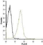 KV1.3 (KCNA3) (extracellular) Antibody in Flow Cytometry (Flow)