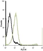 Kir7.1 (KCNJ13) (extracellular) Antibody in Flow Cytometry (Flow)
