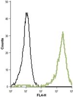KV1.5 (KCNA5) (extracellular) Antibody in Flow Cytometry (Flow)