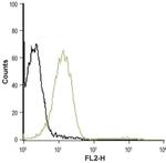 P2Y1 (extracellular) Antibody in Flow Cytometry (Flow)