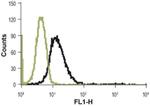 Protease-Activated Receptor-4 (extracellular) Antibody in Flow Cytometry (Flow)