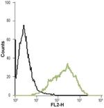 Prokineticin Receptor 1 (extracellular) Antibody in Flow Cytometry (Flow)