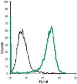 PTGER1 (extracellular) Antibody in Flow Cytometry (Flow)