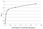 CD4 Antibody in ELISA (ELISA)