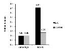 MAFK Antibody in ChIP Assay (ChIP)