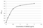 SEMA3E Antibody in ELISA (ELISA)