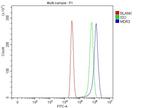 ABCB4 Antibody in Flow Cytometry (Flow)