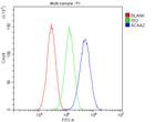 ACAA2 Antibody in Flow Cytometry (Flow)