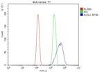 ACSL1 Antibody in Flow Cytometry (Flow)