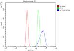 ACSL1 Antibody in Flow Cytometry (Flow)