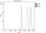 ACSL5 Antibody in Flow Cytometry (Flow)