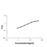 ADAMTS13 Polyclonal Antibody