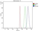 CD166 (ALCAM) Antibody in Flow Cytometry (Flow)